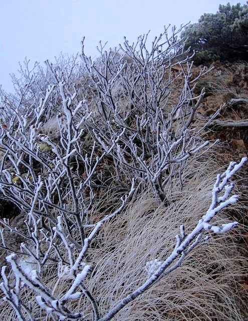 <2020年10月25~26日>同級生2人で挑戦した難関峰「日光・女峰山」登山_c0119160_16003529.jpg