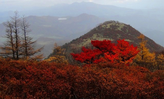<2020年10月25~26日>同級生2人で挑戦した難関峰「日光・女峰山」登山_c0119160_16455916.jpg