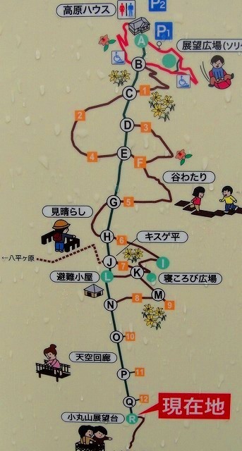<2020年10月25~26日>同級生2人で挑戦した難関峰「日光・女峰山」登山_c0119160_17041593.jpg