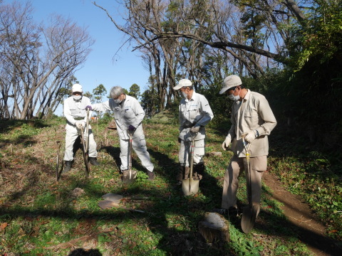 山桜30本植樹、最年少参加者は3歳：11・21六国見山手入れ（上）_c0014967_10581256.jpg