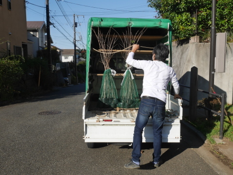 山桜30本植樹、最年少参加者は3歳：11・21六国見山手入れ（上）_c0014967_10593895.jpg