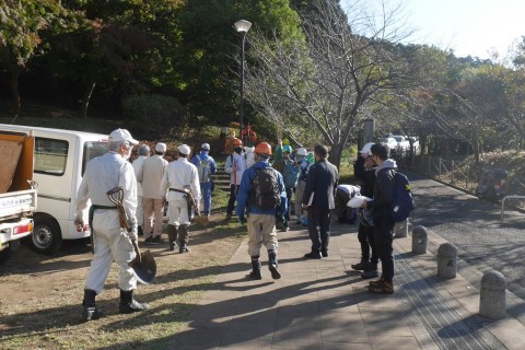 山桜30本植樹、最年少参加者は3歳：11・21六国見山手入れ（上）_c0014967_11010006.jpg