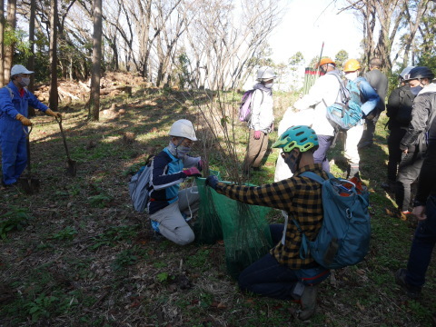 山桜30本植樹、最年少参加者は3歳：11・21六国見山手入れ（上）_c0014967_11013067.jpg