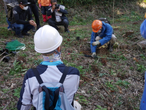 山桜30本植樹、最年少参加者は3歳：11・21六国見山手入れ（上）_c0014967_11023711.jpg
