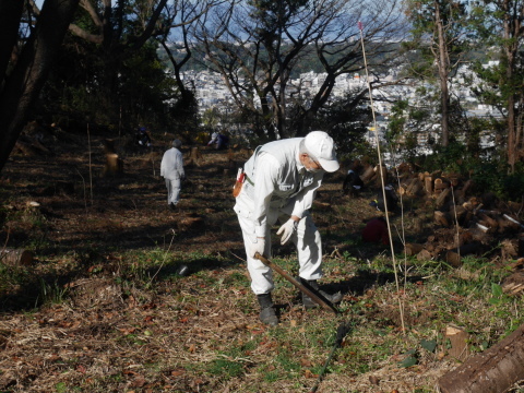 山桜30本植樹、最年少参加者は3歳：11・21六国見山手入れ（上）_c0014967_11144679.jpg