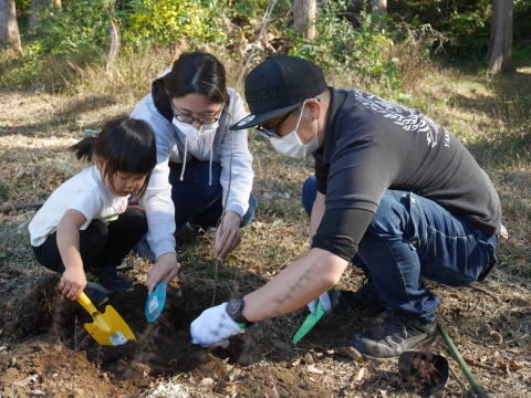 山桜30本植樹、最年少参加者は3歳：11・21六国見山手入れ（上）_c0014967_11180544.jpg