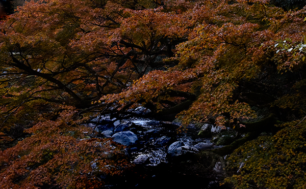 無題としか_e0064375_19045492.jpg