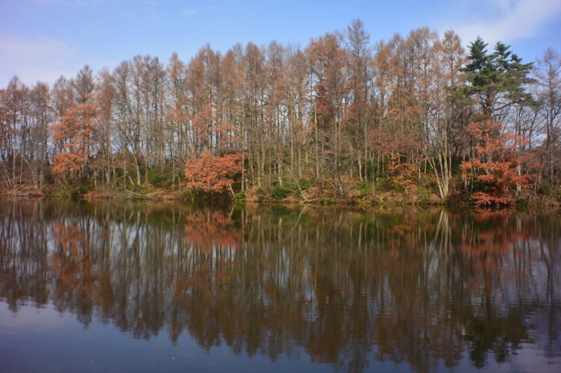 山形県ブラックバス等外来生物リリース禁止から3年ブラックバスが居る池は干上がる ボ ボ 僕らは釣れない中年団