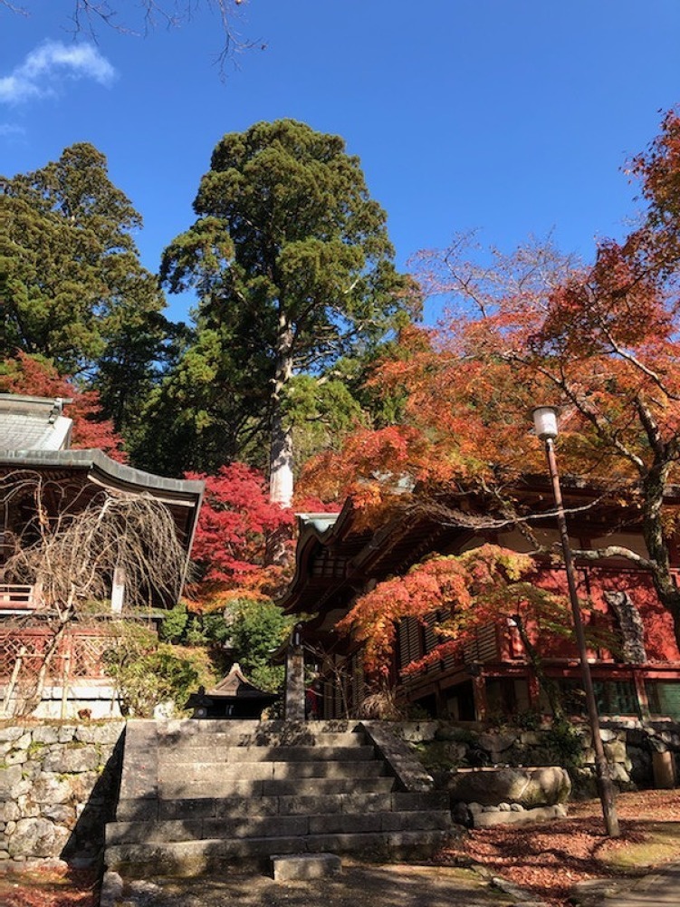 談山神社_a0152501_17215000.jpg