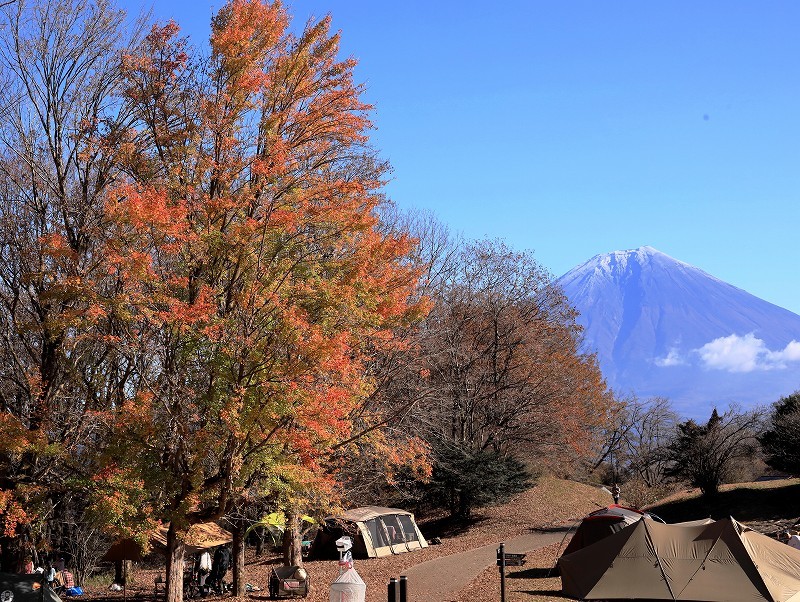 田貫湖の紅葉 富士山大好き 写真は最高 田貫湖の紅葉 富士山大好き 写真は最高
