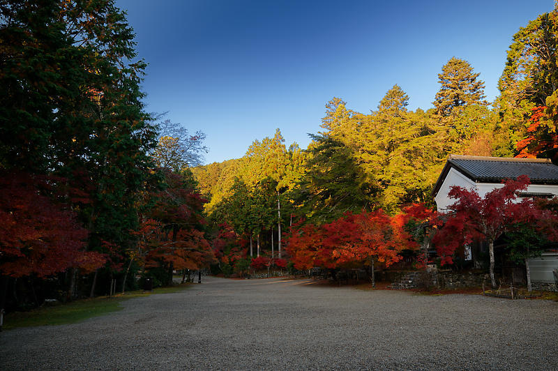 2020京都の紅葉・高雄　神護寺_f0032011_17175520.jpg