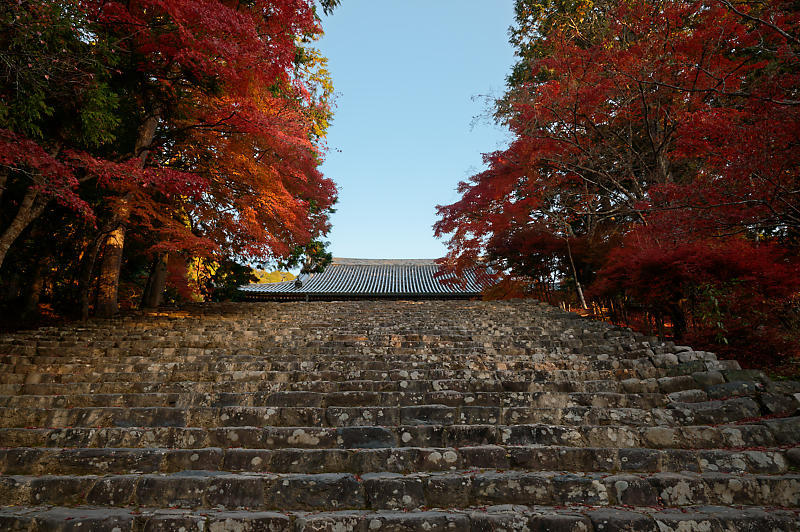 2020京都の紅葉・高雄　神護寺_f0032011_17175597.jpg