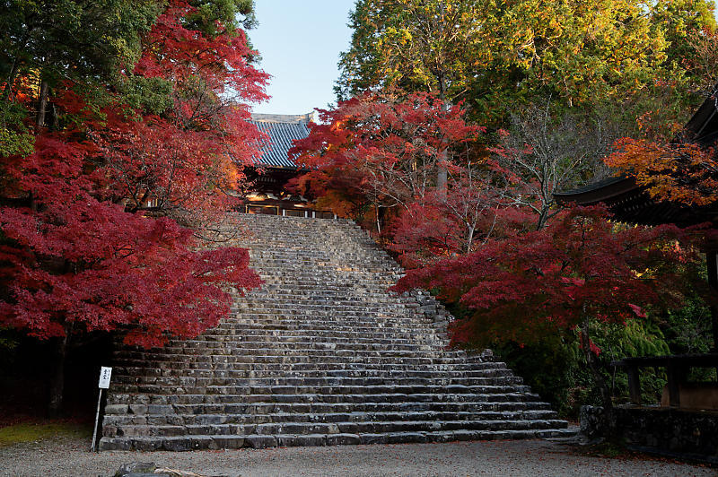 2020京都の紅葉・高雄　神護寺_f0032011_17175614.jpg