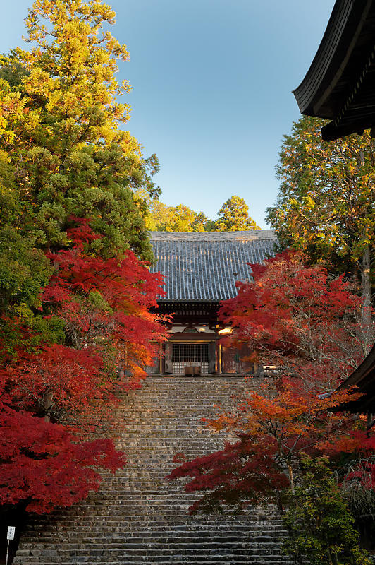 2020京都の紅葉・高雄　神護寺_f0032011_17175648.jpg