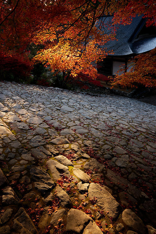 2020京都の紅葉・高雄　神護寺_f0032011_17225668.jpg