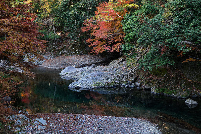 2020京都の紅葉・高雄　神護寺_f0032011_17242638.jpg