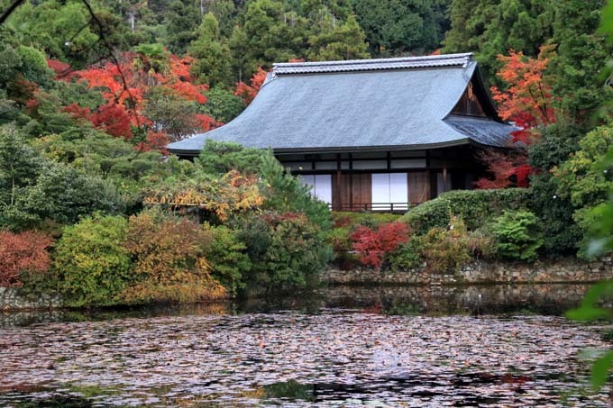 龍安寺　紅葉の盛り_e0048413_21044927.jpg