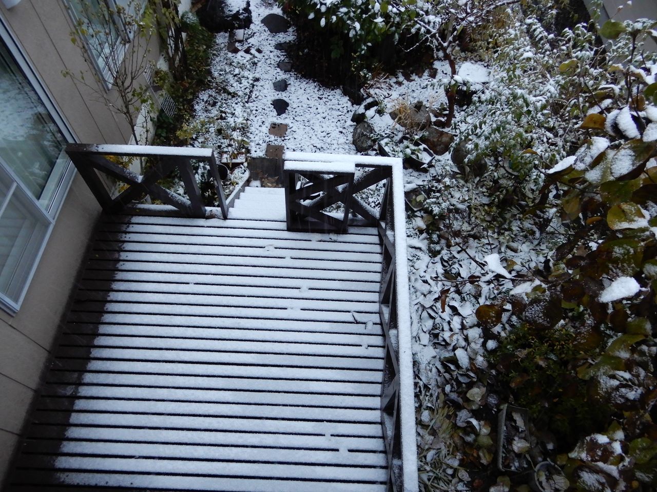 積もって寒かったけど、雪はとけました_c0025115_21283298.jpg