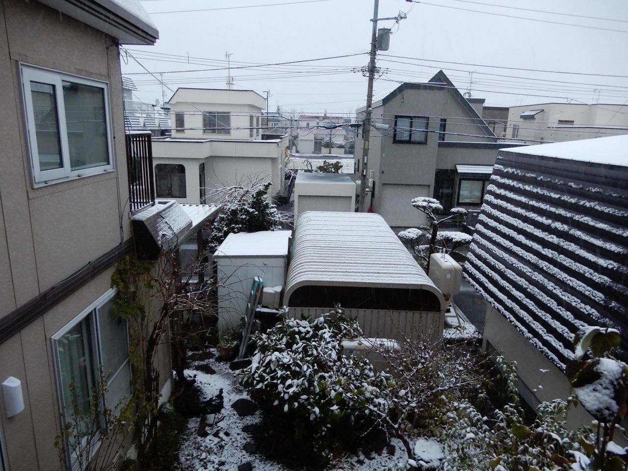 積もって寒かったけど、雪はとけました_c0025115_21284834.jpg