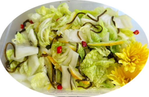 お漬物 光さんの日常2 お漬物 光さんの日常2