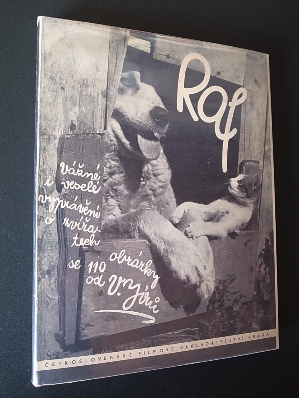 RAF Vaclav Jiru バーツラフ・イーロ 猫 犬 写真集