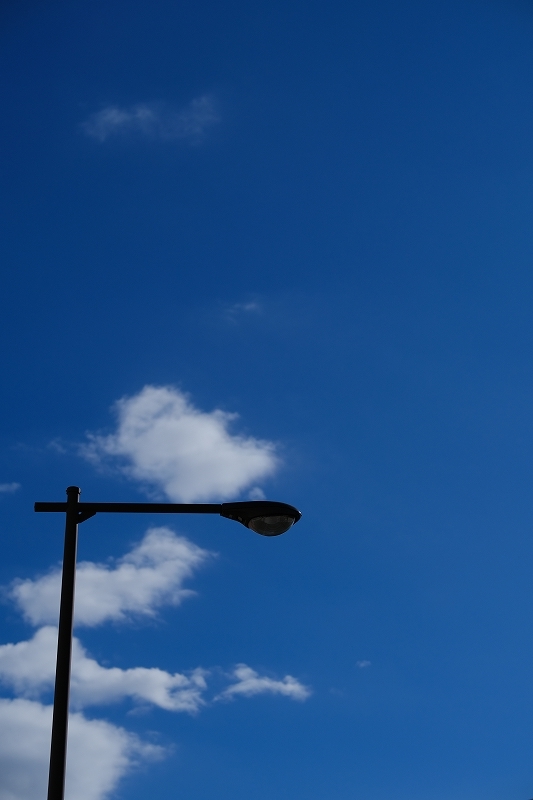 XF50mm/1.0+FUJIFILM X-T4　滝野川　染井　初冬の散歩_f0050534_22333634.jpg