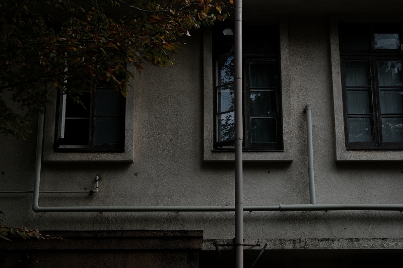 XF50mm/1.0+FUJIFILM X-T4　滝野川　染井　初冬の散歩_f0050534_22370085.jpg