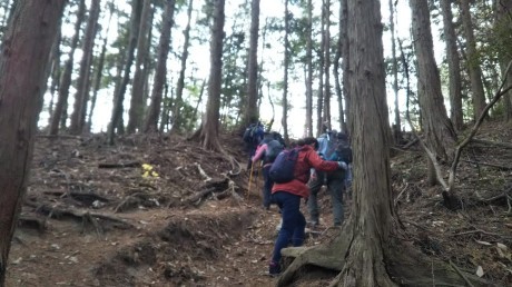 宝塚~船坂峠~一軒茶屋~油こぶし_c0218841_20411566.jpg