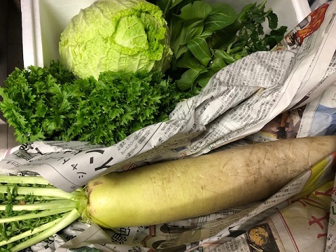採れたて野菜♪_f0019247_22085158.jpg