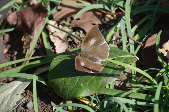 近場の公園巡り_e0167571_22434194.jpg