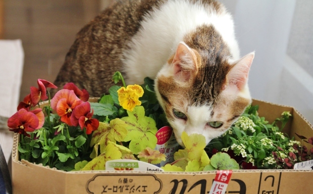 ぽかぽか3連休_f0183274_22032000.jpg