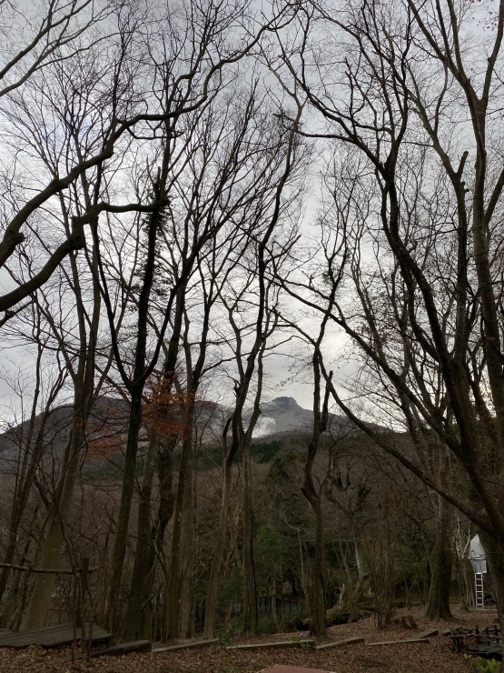 2020年11月23日　いつになったら連弾できるのか_b0098584_17094472.jpeg