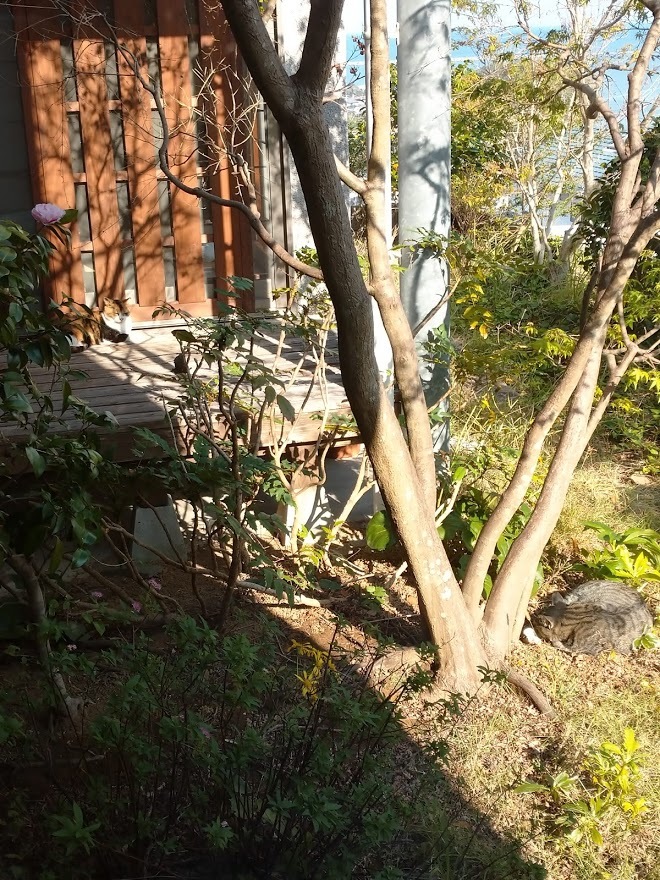 連休最終日_f0197985_18313908.jpg