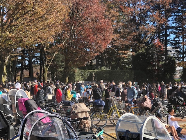世田谷公園のフリマ 素浪人 世田谷公園のフリマ 素浪人