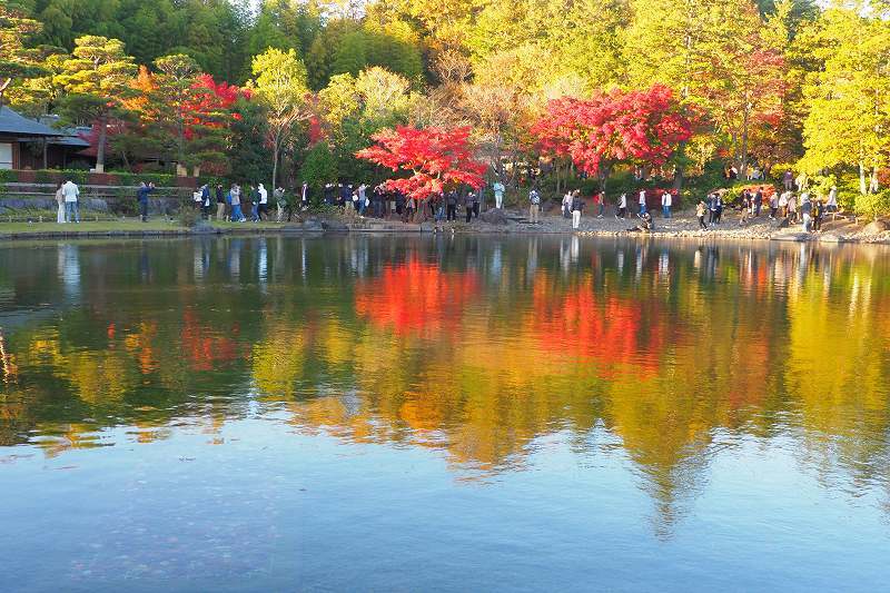 昭和記念公園の紅葉_e0348392_19075063.jpg