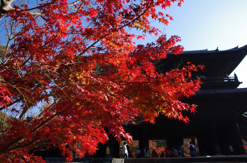 南禅寺 紅葉_c0382798_17594858.jpg