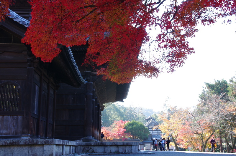 南禅寺 紅葉_c0382798_18003519.jpg