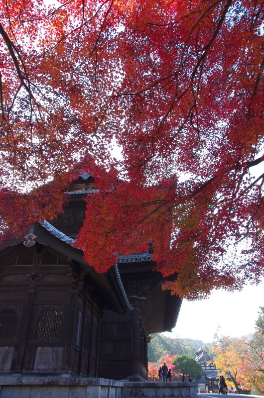 南禅寺 紅葉_c0382798_18014434.jpg