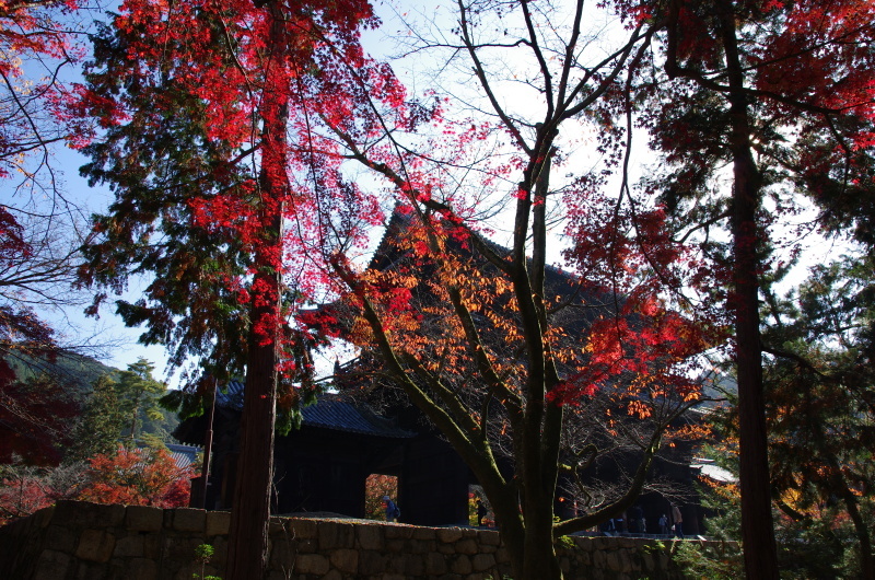 南禅寺　紅葉_c0382798_18241517.jpg