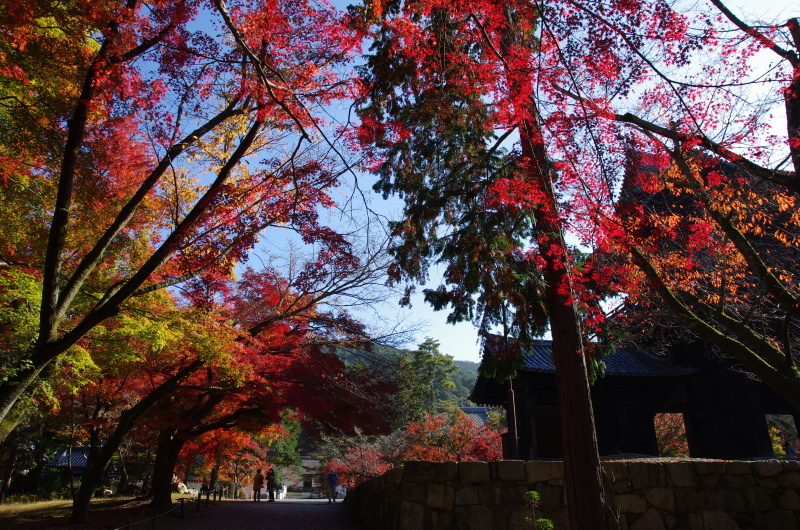 南禅寺 紅葉_c0382798_18243659.jpg
