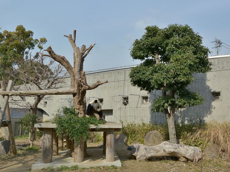 思い出せばあの日、小春日和、タンタン日和_a0164204_14290015.jpg