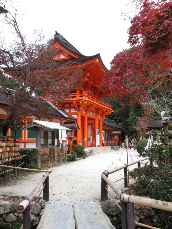 上賀茂神社　輝く紅葉_e0048413_21005525.jpg