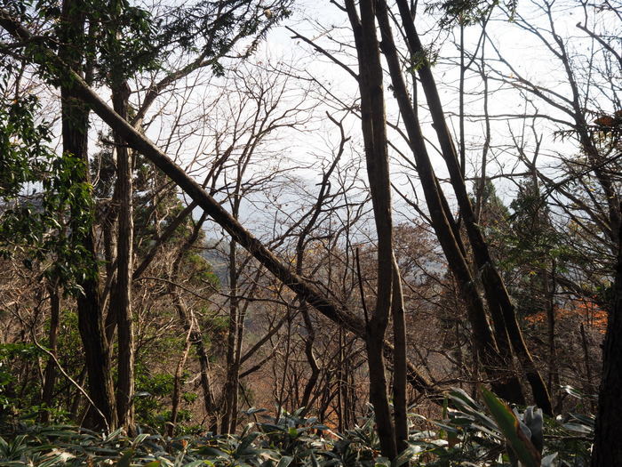 東郷山登山（沼田町吉山から）_c0116915_00021295.jpg