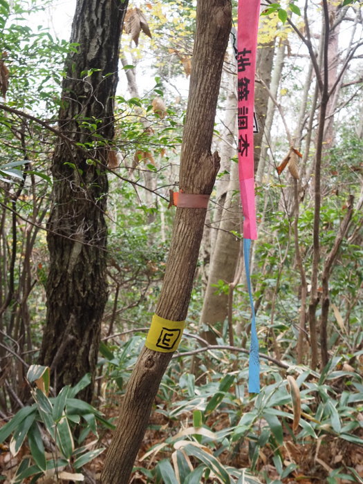 東郷山登山（沼田町吉山から）_c0116915_00180946.jpg