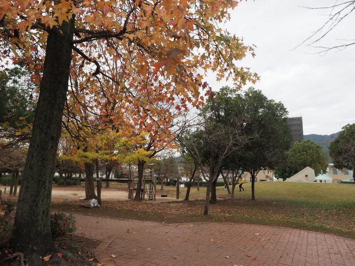 佐伯区民文化センター&五日市中央公園_c0116915_23533539.jpg