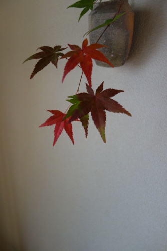 紅葉も名残りの候となりました_a0197730_22042111.jpg