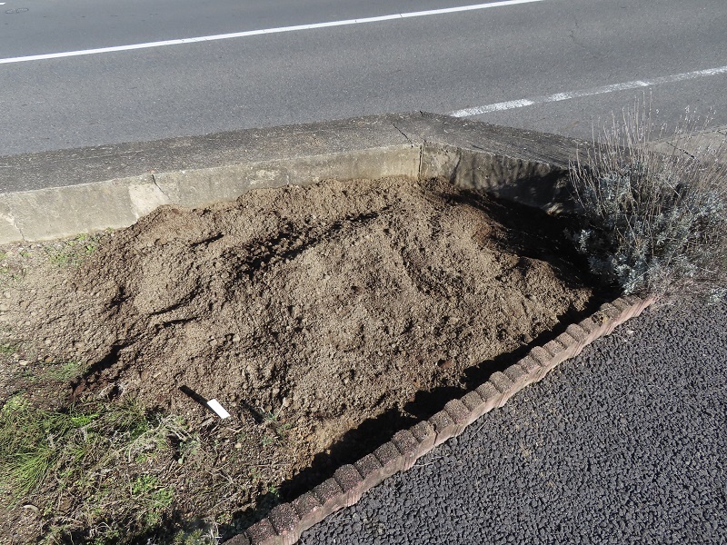 WRXの歴史に名を残すRA-Rを達観_f0076731_19543268.jpg