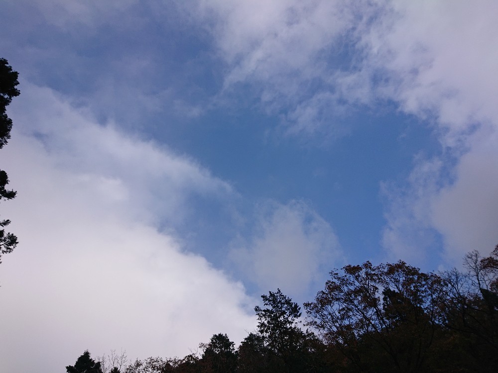 メリー ごきげん_e0145441_00021474.jpg