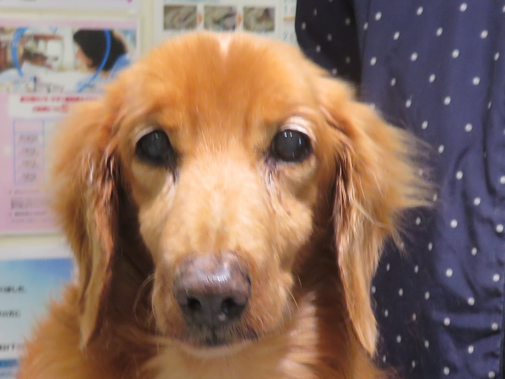 11 月 24 日の写真_c0174644_10160476.jpg
