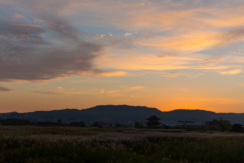 朝の光の中で（平城宮跡）_f0155048_21204551.jpg